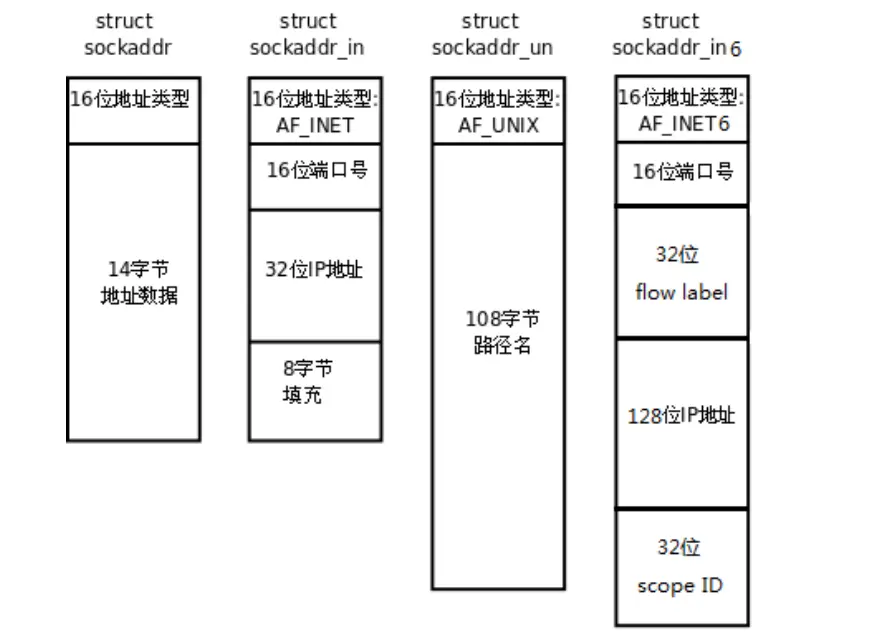 专用-socket-地址